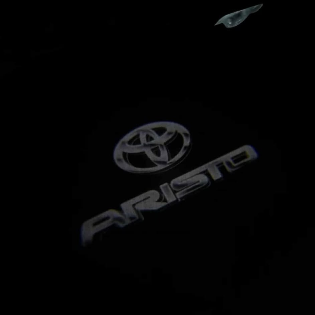 Side Door LED Logo Lights