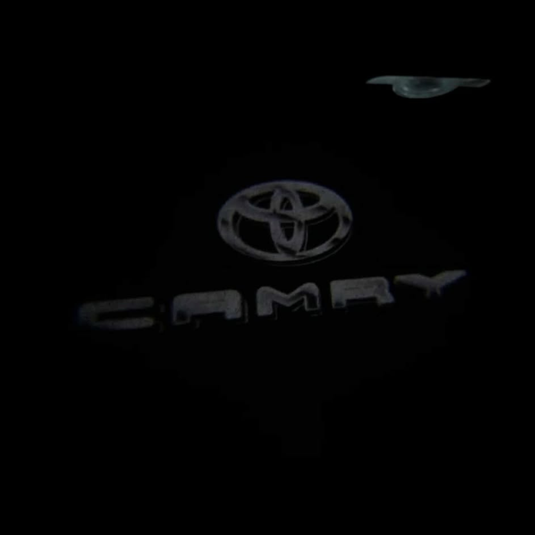 Side Door LED Logo Lights