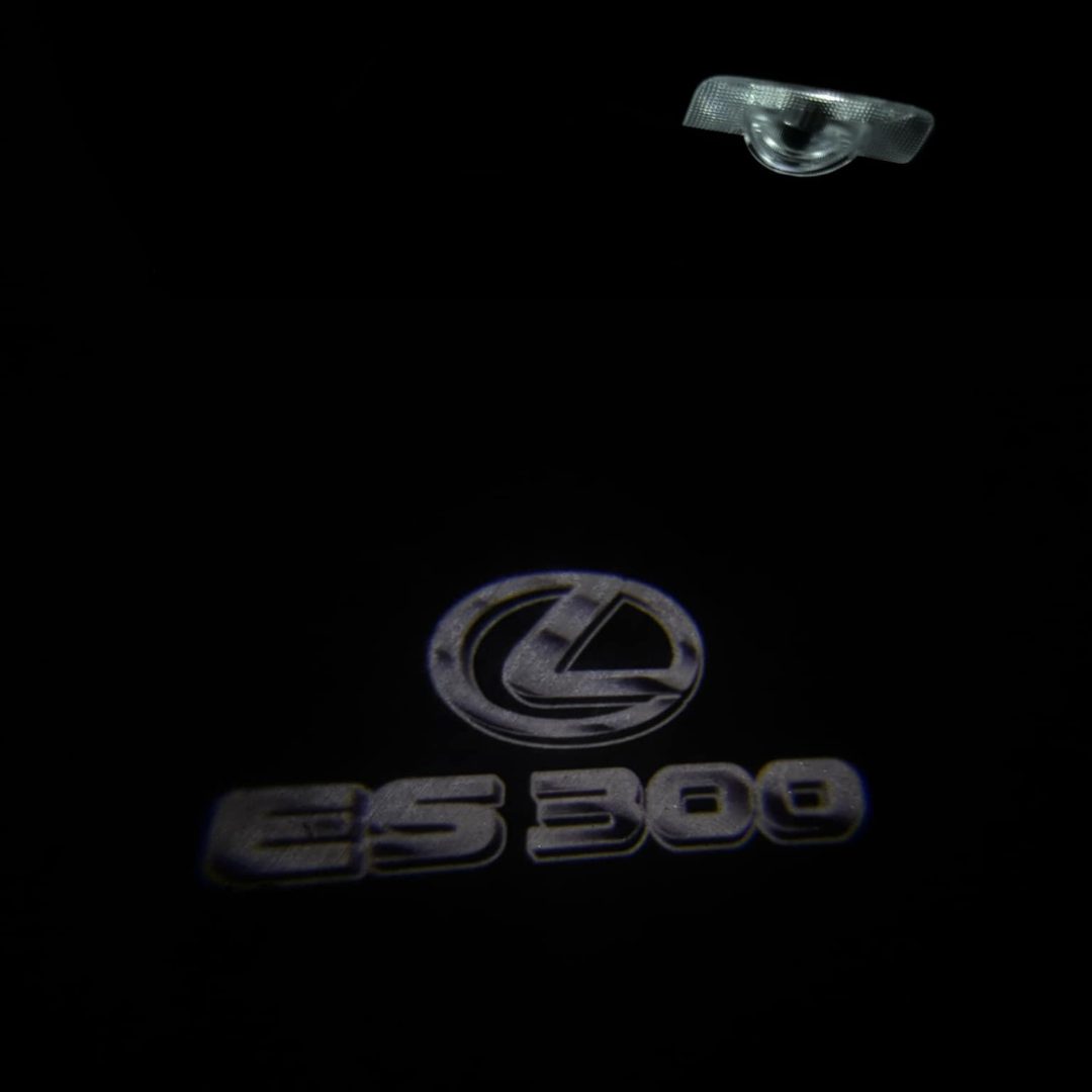 Side Door LED Logo Lights